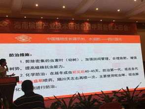 創新共贏 2018檳榔產業技術研討交流會助力技術推廣與服務升級